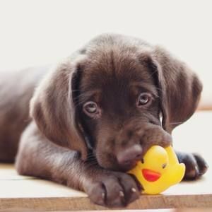 Meet your Posher, Meredith